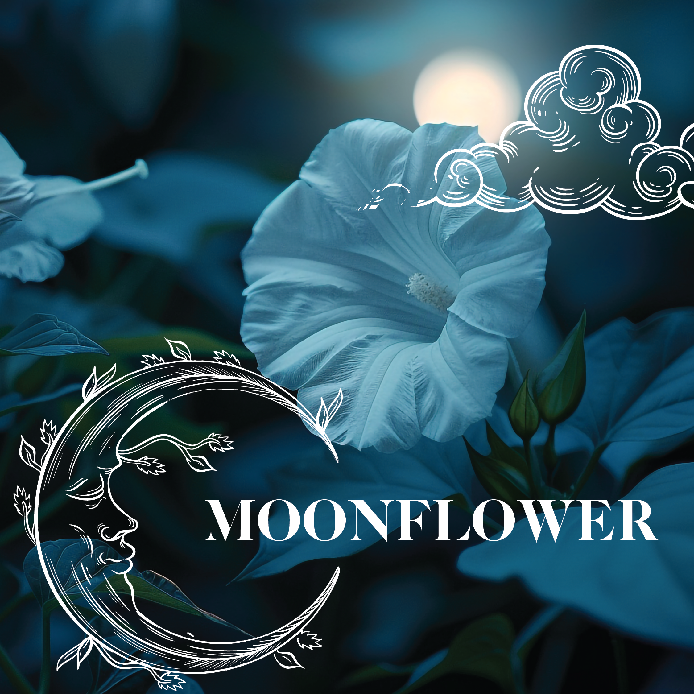 Moonflower