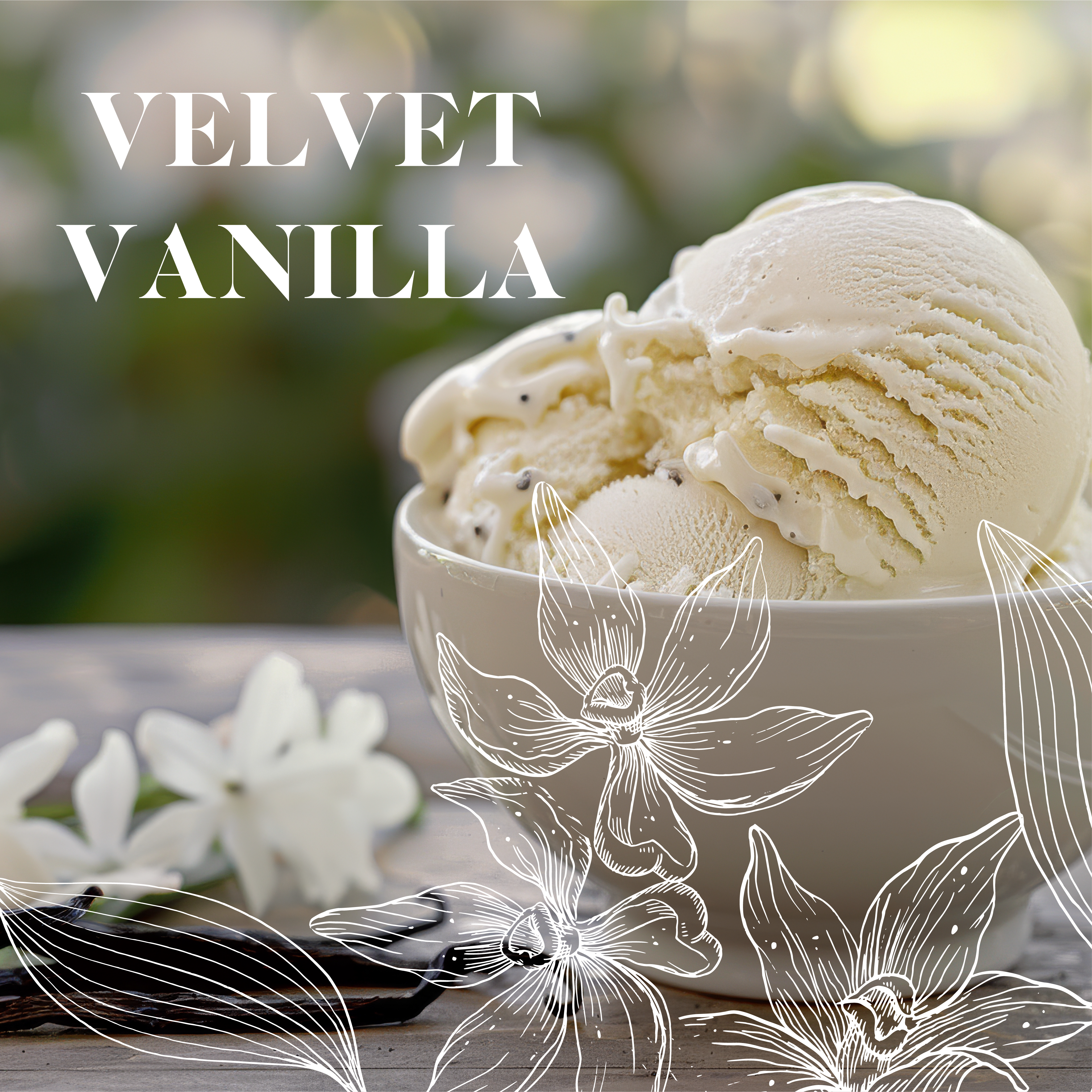 Velvet Vanilla